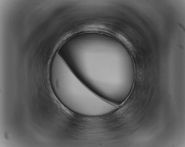 X0000098011384200803280721