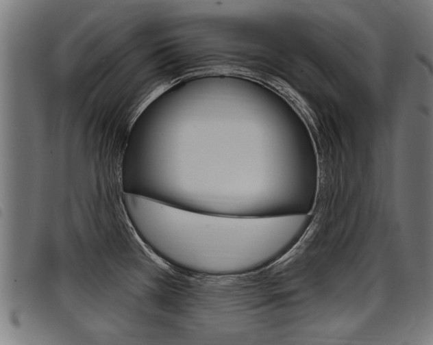 X0000098011385200803280721