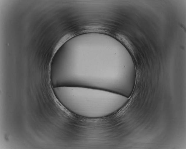 X0000098011386200803280721