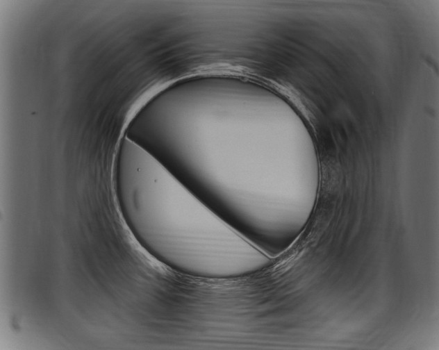 X0000098011387200803280721