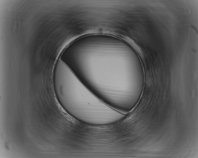 X0000098011388200803280721