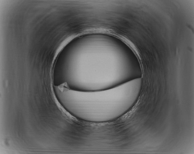 X0000098011389200803280720