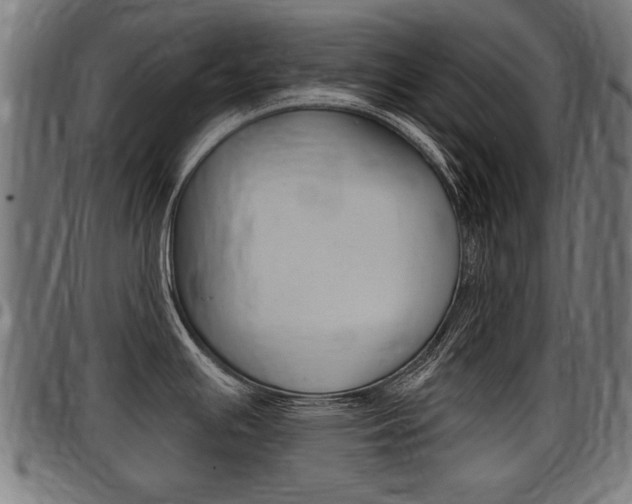 X0000098011391200803280720