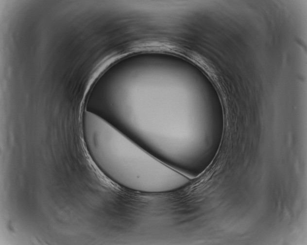 X0000098011392200803280720
