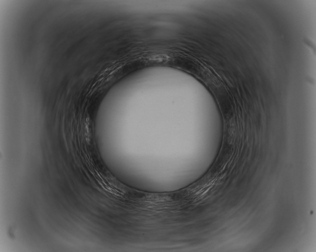 X0000098011394200803280720