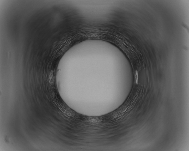 X0000098011395200803280720