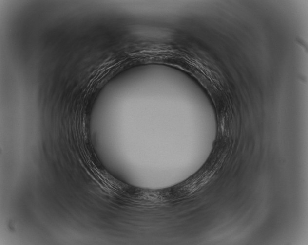 X0000098011396200803280720