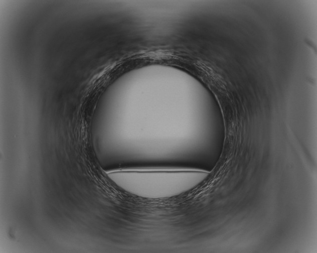 X0000098011398200803280720