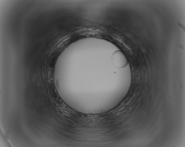 X0000098011399200803280720