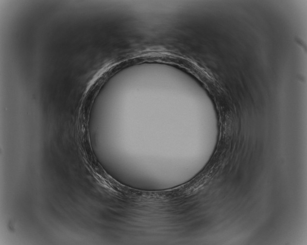 X0000098011400200803280720