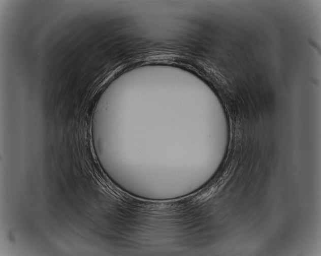 X0000098011401200803280720
