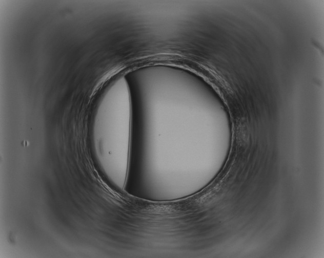 X0000098011402200803280720
