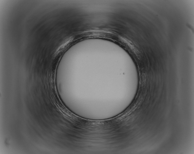 X0000098011403200803280720