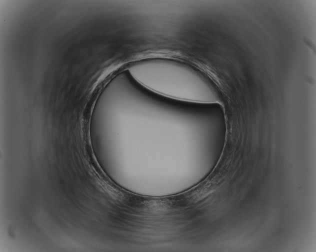 X0000098011404200803280720
