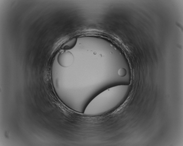 X0000098011405200803280720