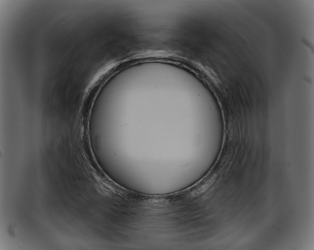 X0000098011406200803280720