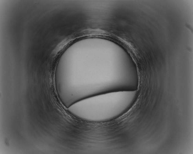 X0000098011407200803280720