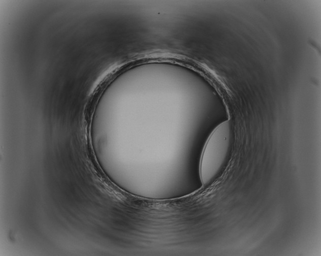 X0000098011408200803280720