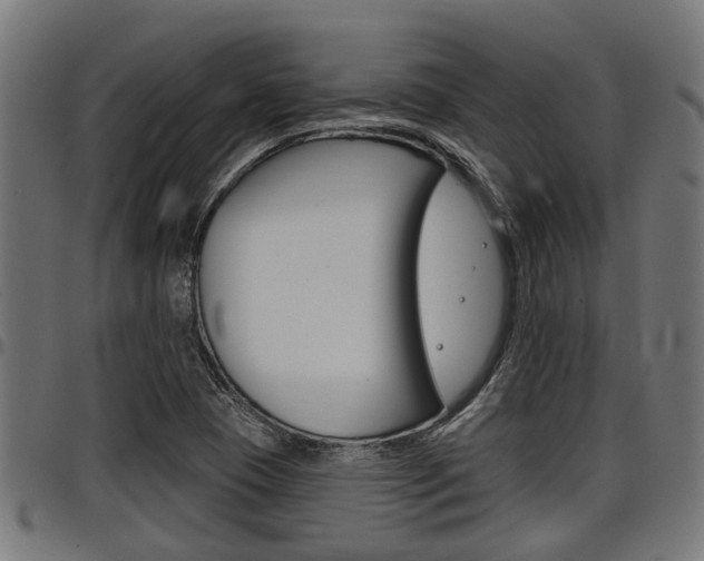 X0000098011409200803280720