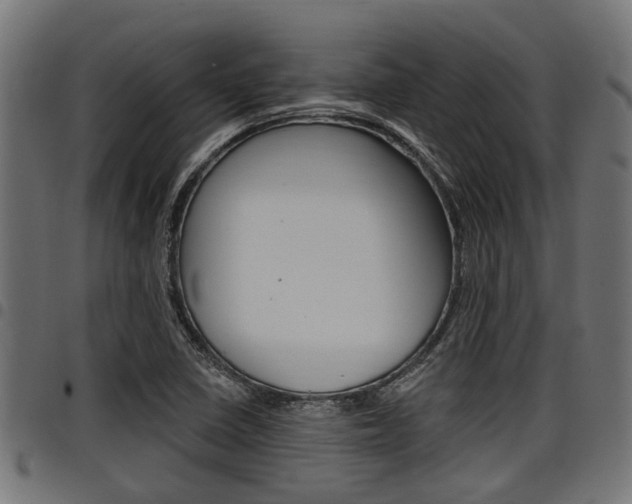 X0000098011410200803280720