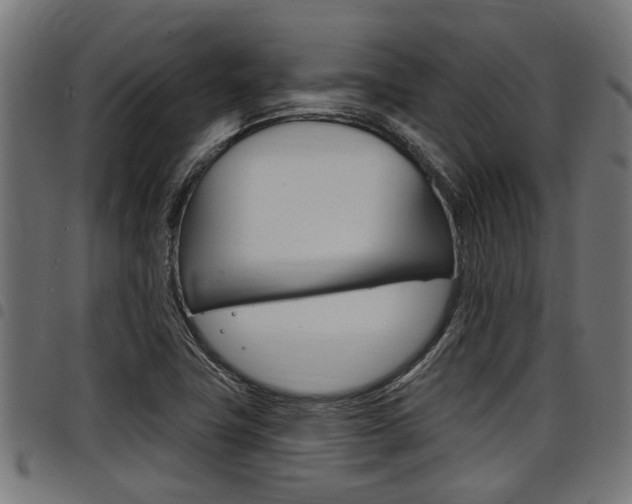X0000098011411200803280720