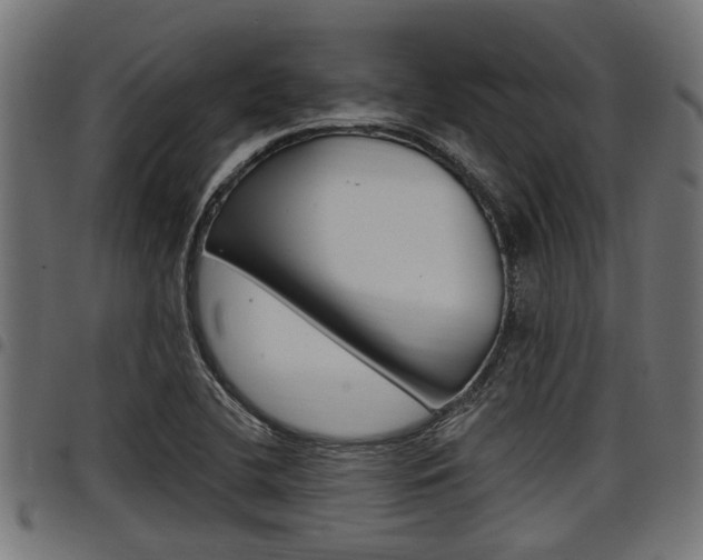 X0000098011412200803280720