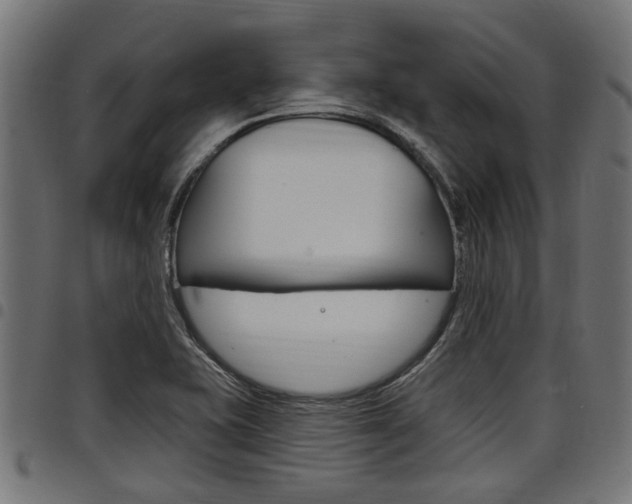 X0000098011415200803280720