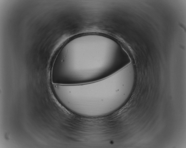 X0000098011416200803280720