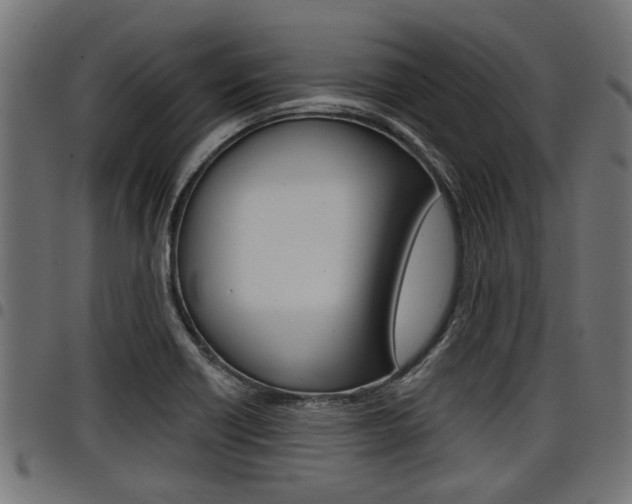 X0000098011418200803280720