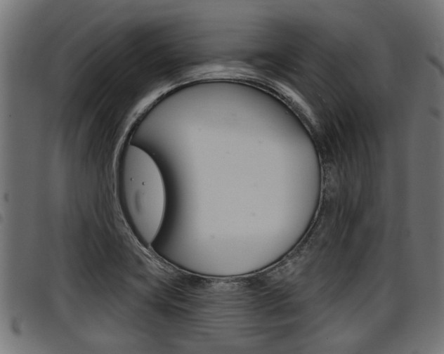 X0000098011419200803280720