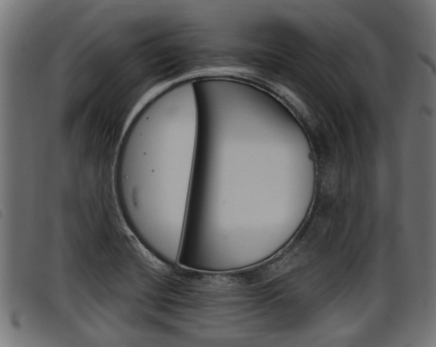 X0000098011420200803280720