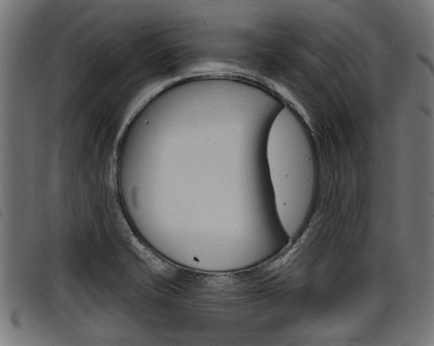 X0000098011421200803280720