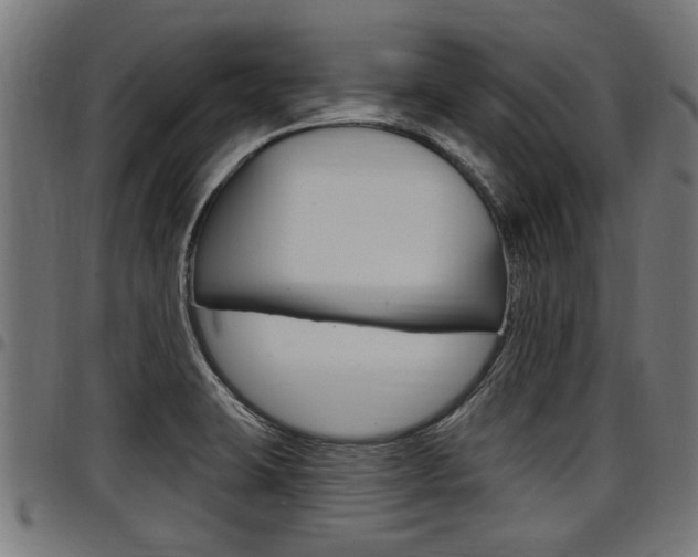X0000098011423200803280720