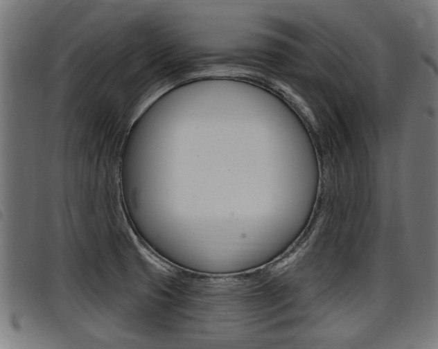 X0000098011425200803280720