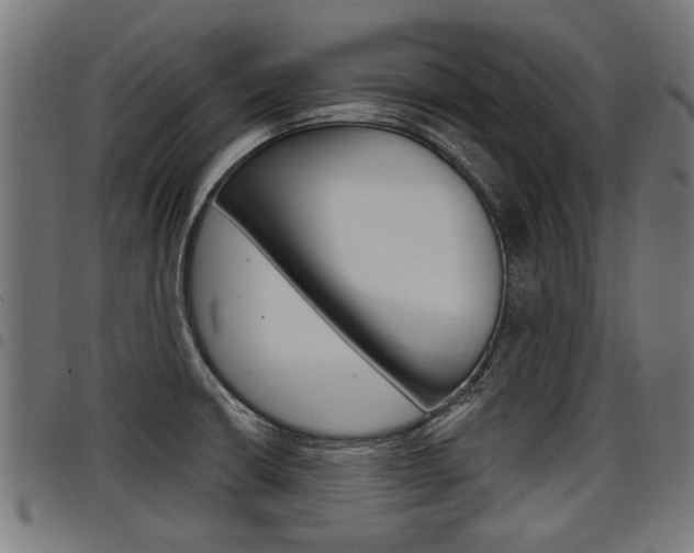X0000098011426200803280720