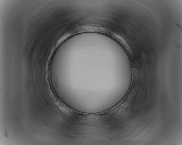 X0000098011427200803280720