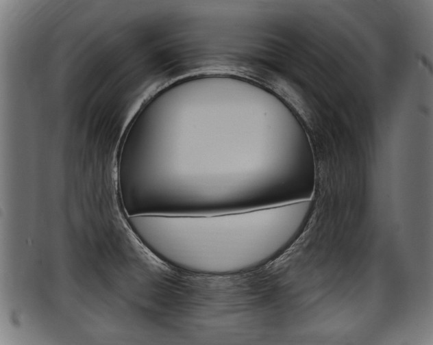 X0000098011428200803280720