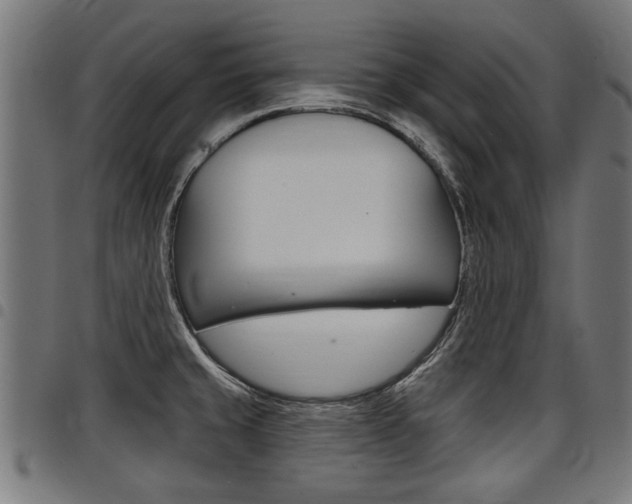 X0000098011429200803280720