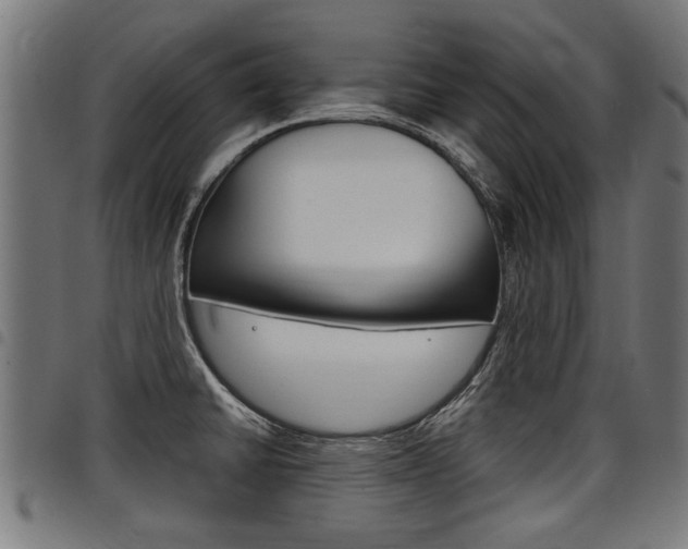 X0000098011430200803280720