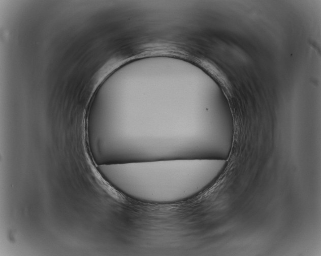 X0000098011431200803280720