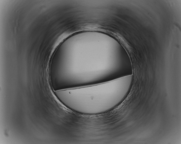 X0000098011432200803280720