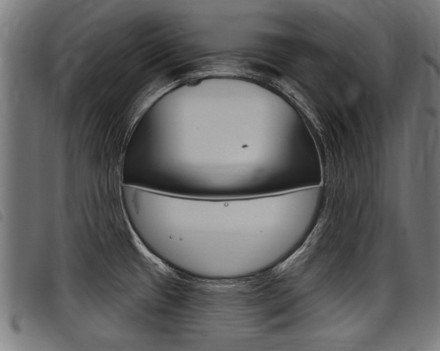 X0000098011433200803280720