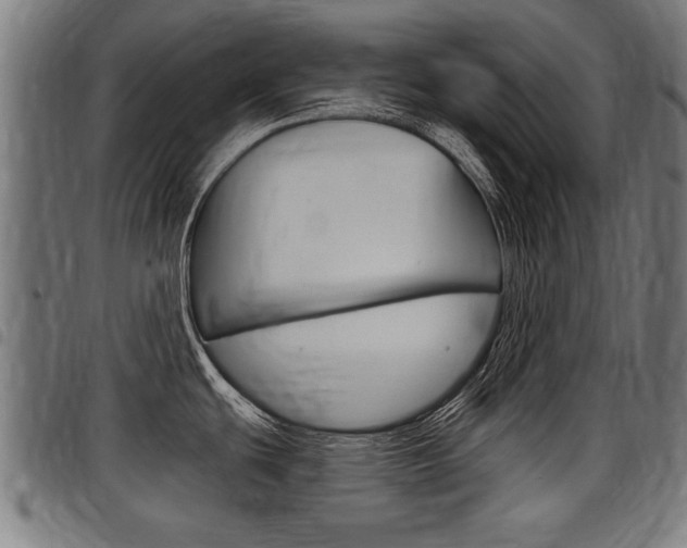 X0000098011439200803280720