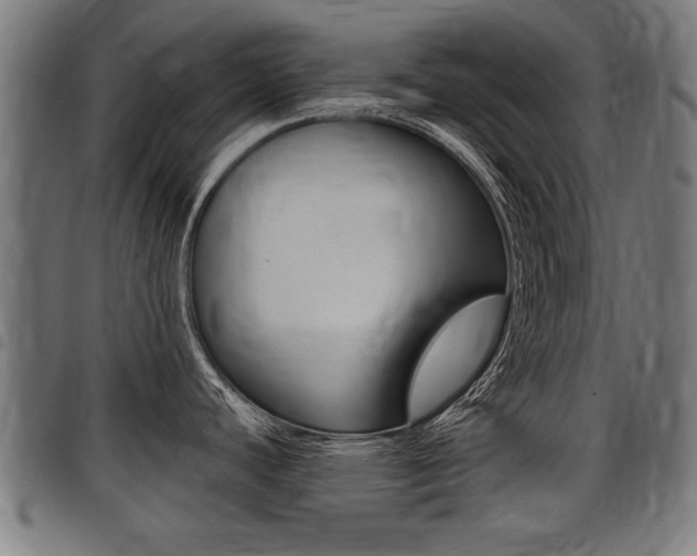 X0000098011440200803280720