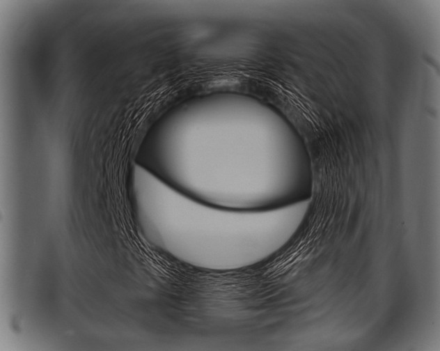 X0000098011441200803280720