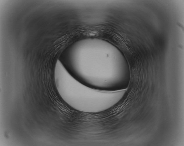 X0000098011442200803280720