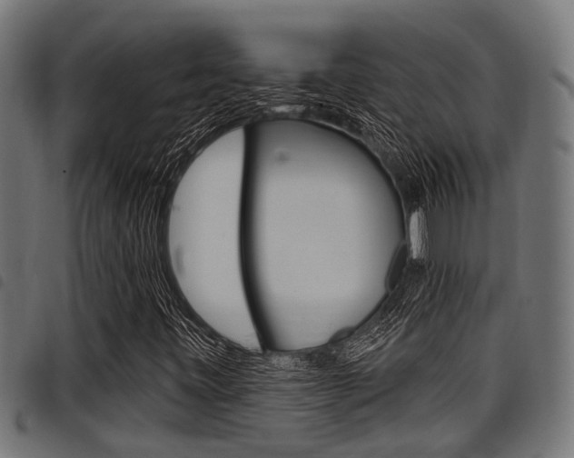 X0000098011443200803280720