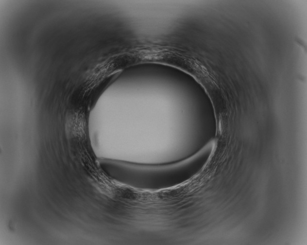 X0000098011444200803280720