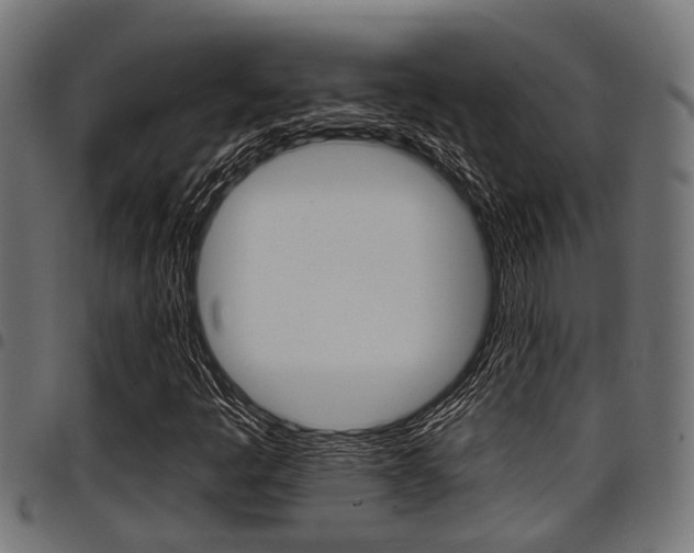 X0000098011445200803280720