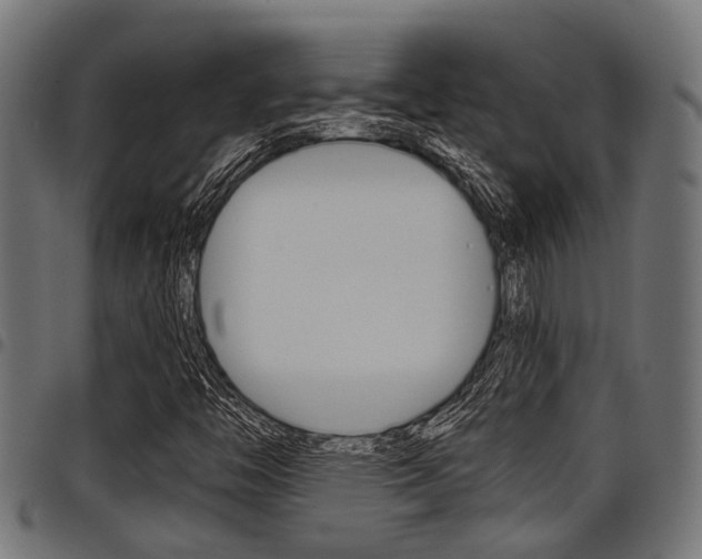 X0000098011446200803280720
